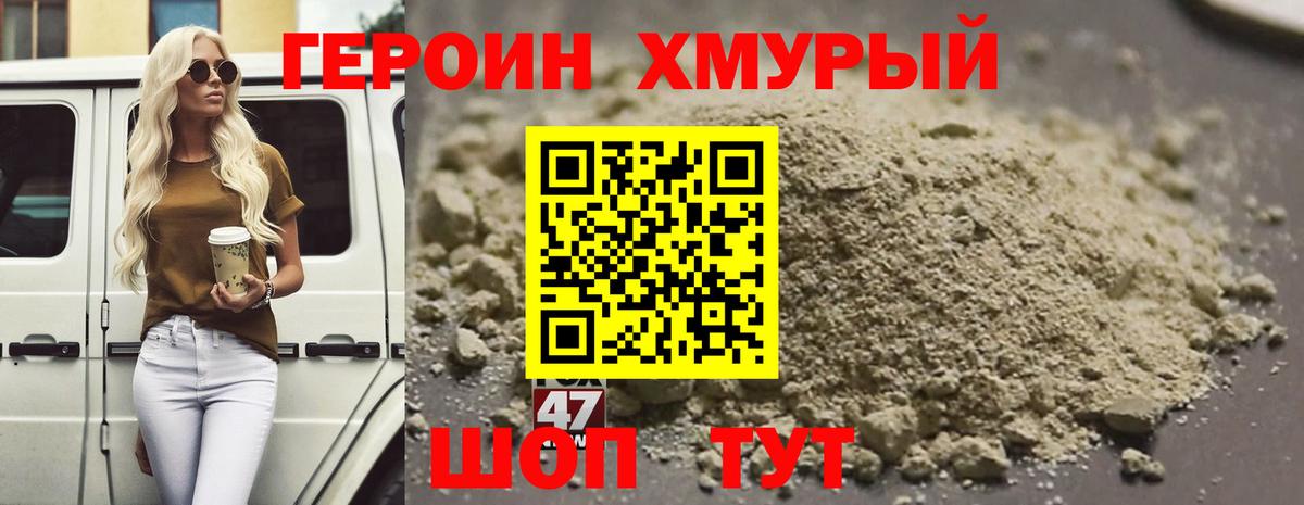 ГЕРОИН хмурый Калининград