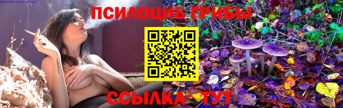 Галлюциногенные грибы Psilocybine cubensis  закладка  Калининград  Вход с VPN 